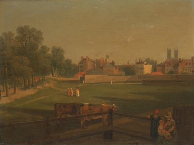 A Western View of Part of Westminster and Bird Cage Walk Taken from the Mill House by George Arnald